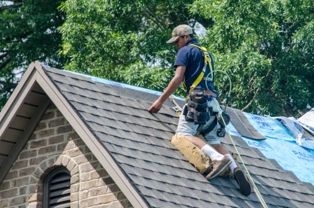Best Roof Waterproofing Services  in Las Animas, CO